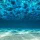 Fototapet fara imbinari Conquered The Underwater World