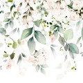 Fototapet fara imbinari Blush Pink Rose