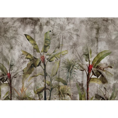 Fototapet fara imbinari Jungle In Dark Fog Premier Decor
