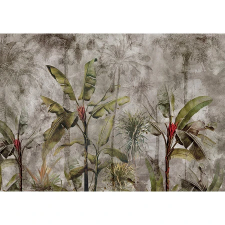 Fototapet fara imbinari Jungle In Dark Fog Premier Decor