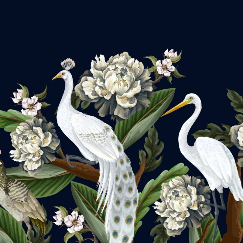 Fototapet fara imbinari White Peacock And Stork