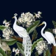 Fototapet fara imbinari White Peacock And Stork