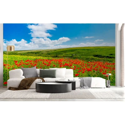 Fototapet fara imbinari Field Of Poppies Premier Decor