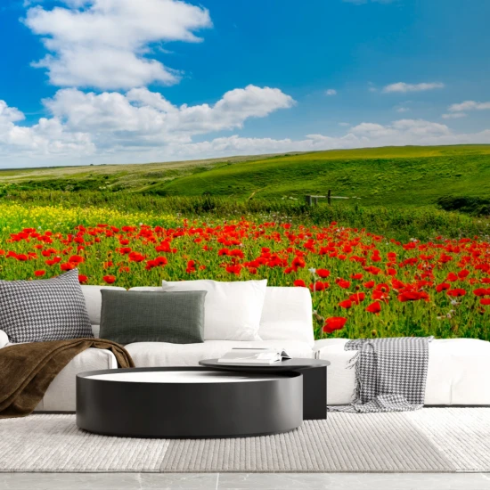 Fototapet fara imbinari Field Of Poppies