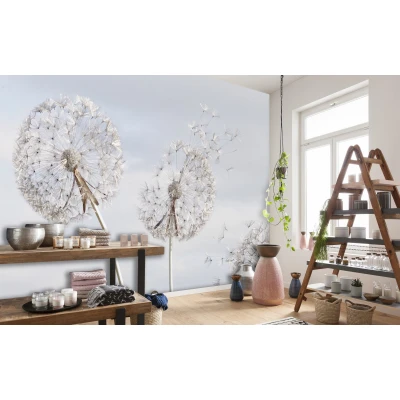 Fototapet Fara Imbinari Dandelion Fantasy Premier Decor