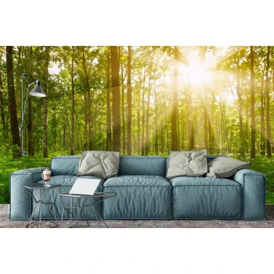 Fototapet fara imbinari Departe În Pădure Premier Decor
