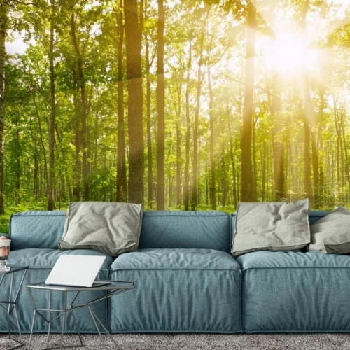 Fototapet fara imbinari Departe În Pădure