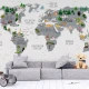 Fototapet fara imbinari World Map With Gray Continents