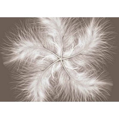 Fototapetfara imbinari Dream Feather Premier Decor