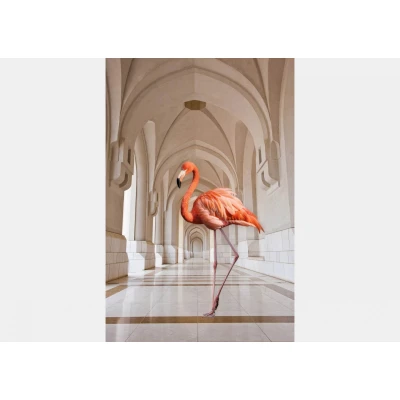 Fototapet fara imbinari Flamingo on the Hallway Premier Decor
