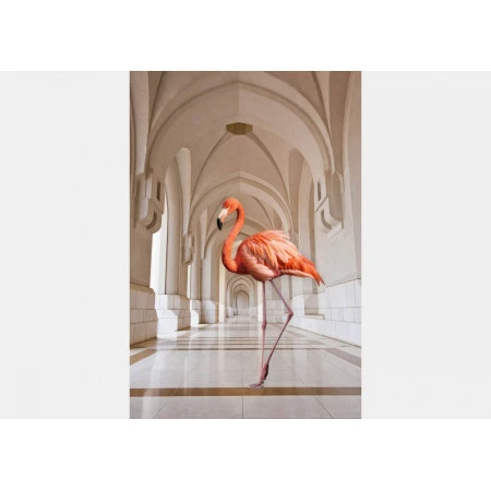 Fototapet fara imbinari Flamingo on the Hallway
