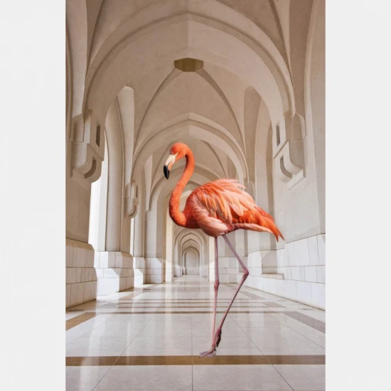Fototapet fara imbinari Flamingo on the Hallway