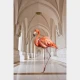 Fototapet fara imbinari Flamingo on the Hallway