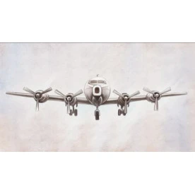 Fototapet fara imbinari Flying Airplane Premier Decor