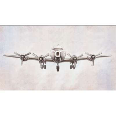 Fototapet fara imbinari Flying Airplane Premier Decor