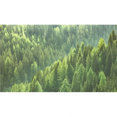 Fototapet fara imbinari Peisaj Forest Living si Dormitor Premier Decor