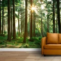 Fototapet fara imbinari Beautiful Day In The Forest