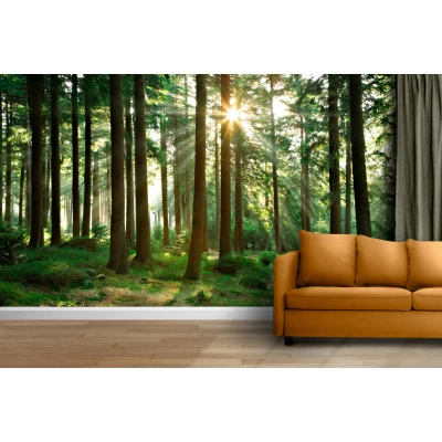 Fototapet fara imbinari Beautiful Day In The Forest Premier Decor