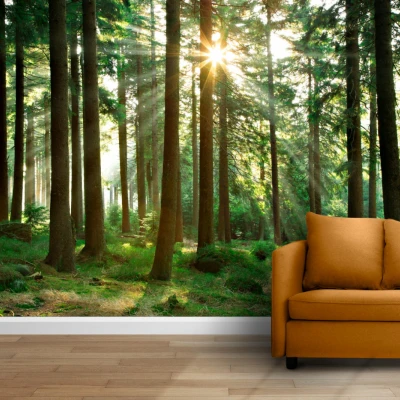 Fototapet fara imbinari Beautiful Day In The Forest Premier Decor