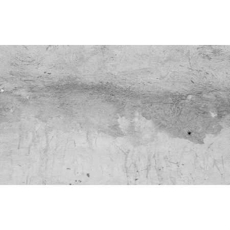 Fototapet fara imbinari Light Gray Concrete Background Premier Decor