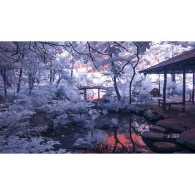 Fototapet fara imbinari Grădina Japoneză Premier Decor