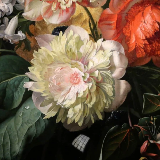 Fototapet fara imbinari Bujori