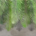 Fototapet fara imbinari Jungle Leaves