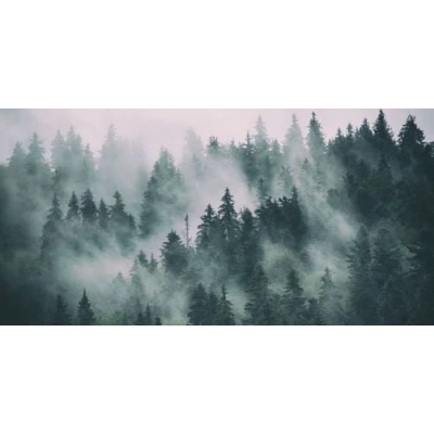 Fototapet fara imbinari Mountain Mist Premier Decor