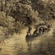 Fototapet fara imbinari Natives Land