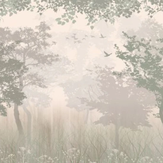 Fototapet fara imbinari Pădurea În Ceață