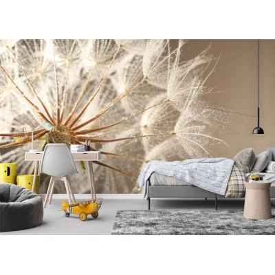 Fototapet fara imbinari Păpădie Premier Decor