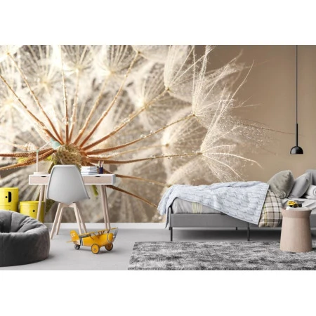 Fototapet fara imbinari Păpădie Premier Decor