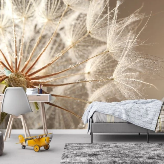 Fototapet fara imbinari Păpădie