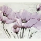 Fototapet fara imbinari Poopy Flower Watercolor