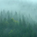 Fototapet fara imbinari Peisaj Tranquile Mountain Living si Dormitor