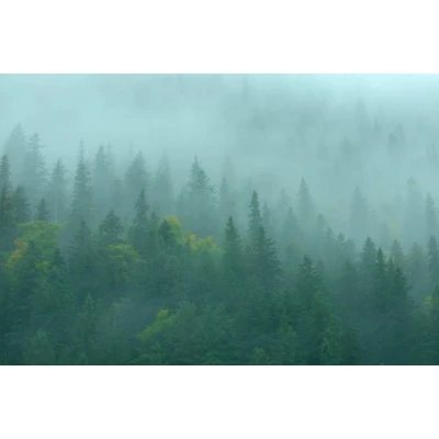 Fototapet fara imbinari Peisaj Tranquile Mountain Living si Dormitor Premier Decor