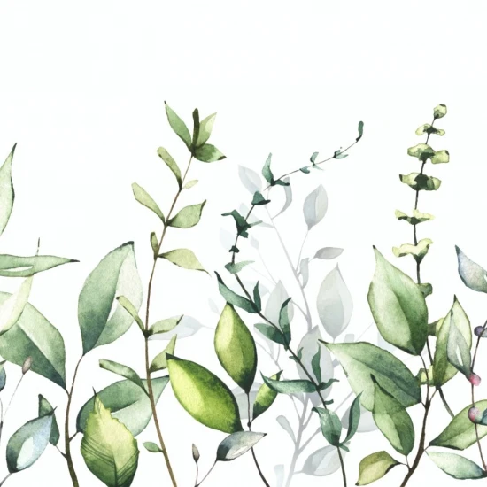 Fototapet fara imbinari Watercolor Fowers