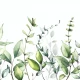 Fototapet fara imbinari Watercolor Fowers