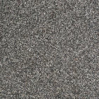 QM-79