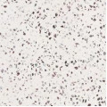 LM_01-53-440x440