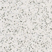 LS-11