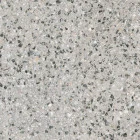 LS-21