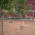 Pardoseală microciment ceramică stabilizată pentru exterior