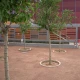Pardoseală microciment ceramică stabilizată pentru exterior
