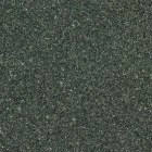 QM-19