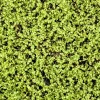 Covor artificial verde deschis Soleirolia 50x50 cm