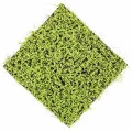Covor artificial verde deschis Soleirolia 50x50 cm