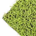 Covor artificial verde deschis Soleirolia 50x50 cm