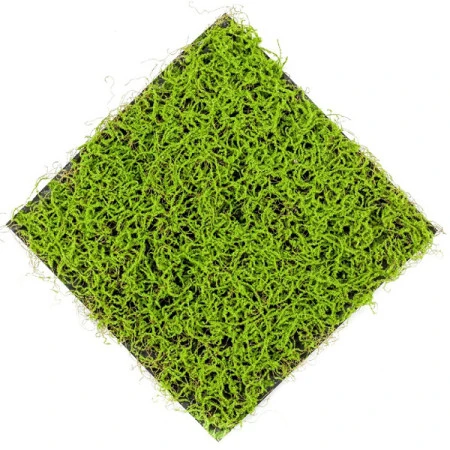 Covor iarba artificiala verde deschis 50x50 cm Premier Decor