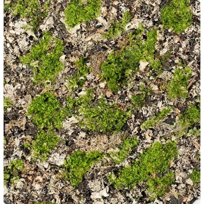 Covor artificial muschi verde gri - 50x50 cm Premier Decor